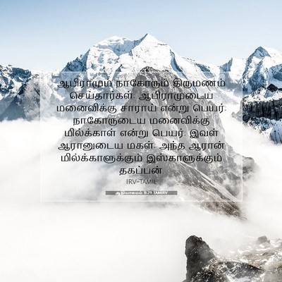 Picture 07 - ஆதியாகமம் 11:29 TAMIRV - ஆபிராமும் - Bible Verse Picture