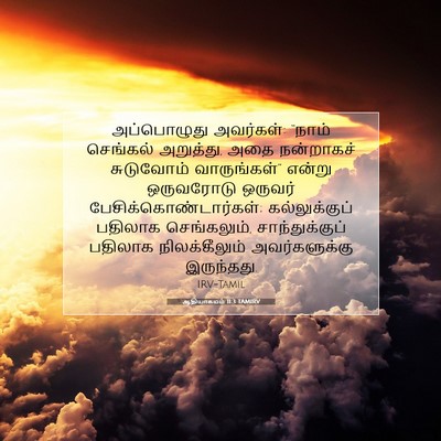 Picture 07 - ஆதியாகமம் 11:3 TAMIRV - அப்பொழுது - Bible Verse Picture