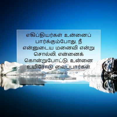 Picture 07 - ஆதியாகமம் 12:12 TAMIRV - எகிப்தியர்கள் - Bible Verse Picture