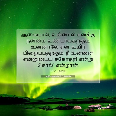 Picture 07 - ஆதியாகமம் 12:13 TAMIRV - ஆகையால், உன்னால் - Bible Verse Picture