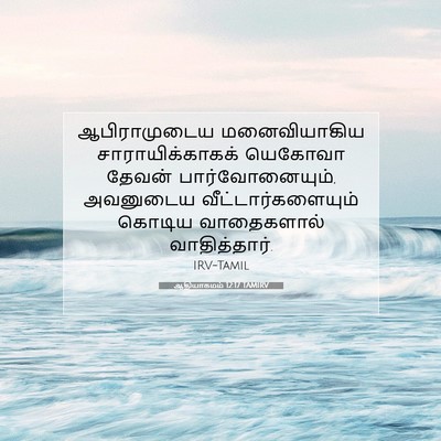 Picture 07 - ஆதியாகமம் 12:17 TAMIRV - ஆபிராமுடைய - Bible Verse Picture