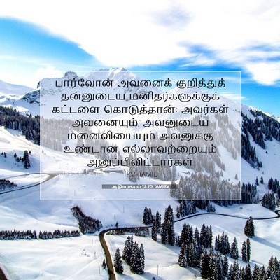 Picture 07 - ஆதியாகமம் 12:20 TAMIRV - பார்வோன் அவனைக் - Bible Verse Picture