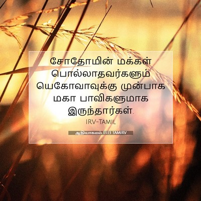 Picture 07 - ஆதியாகமம் 13:13 TAMIRV - சோதோமின் மக்கள் - Bible Verse Picture
