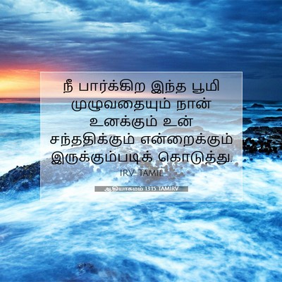 Picture 07 - ஆதியாகமம் 13:15 TAMIRV - நீ பார்க்கிற இந்த - Bible Verse Picture