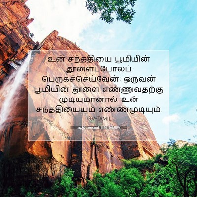 Picture 07 - ஆதியாகமம் 13:16 TAMIRV - உன் சந்ததியை - Bible Verse Picture