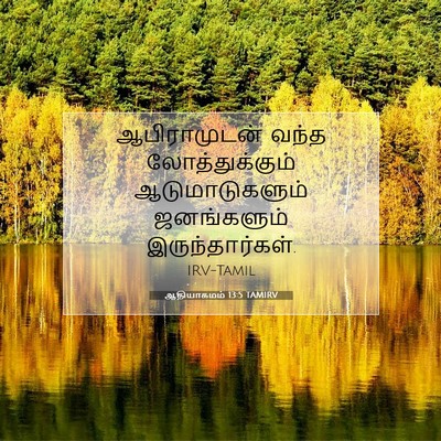 Picture 07 - ஆதியாகமம் 13:5 TAMIRV - ஆபிராமுடன் வந்த - Bible Verse Picture