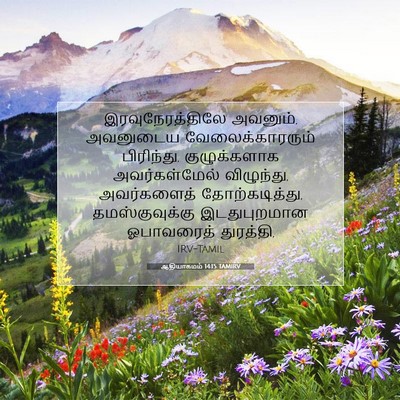 Picture 07 - ஆதியாகமம் 14:15 TAMIRV - இரவுநேரத்திலே - Bible Verse Picture