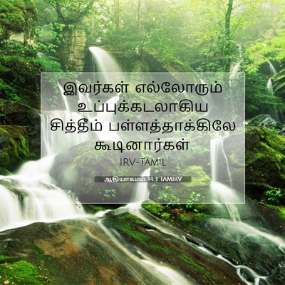 Picture 07 - ஆதியாகமம் 14:3 TAMIRV - இவர்கள் எல்லோரும் - Bible Verse Picture