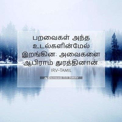 Picture 07 - ஆதியாகமம் 15:11 TAMIRV - பறவைகள் அந்த - Bible Verse Picture