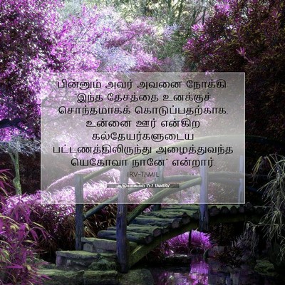 Picture 07 - ஆதியாகமம் 15:7 TAMIRV - பின்னும் அவர் - Bible Verse Picture