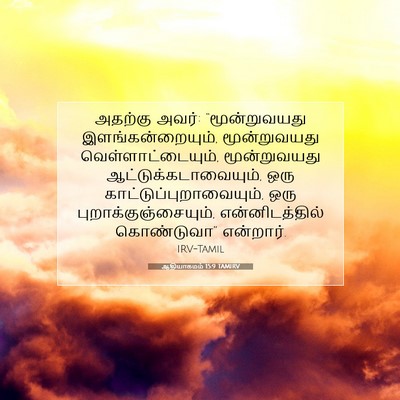 Picture 07 - ஆதியாகமம் 15:9 TAMIRV - அதற்கு அவர்: - Bible Verse Picture