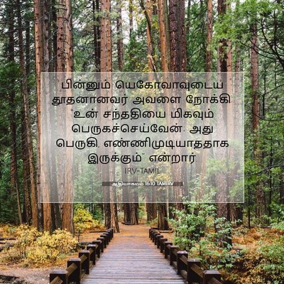Picture 07 - ஆதியாகமம் 16:10 TAMIRV - பின்னும் - Bible Verse Picture