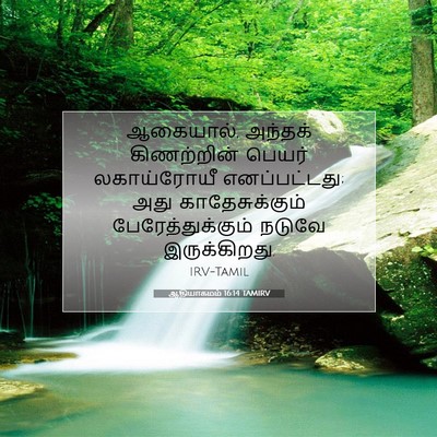 Picture 07 - ஆதியாகமம் 16:14 TAMIRV - ஆகையால், அந்தக் - Bible Verse Picture