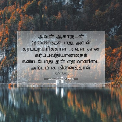 Picture 07 - ஆதியாகமம் 16:4 TAMIRV - அவன் ஆகாருடன் - Bible Verse Picture