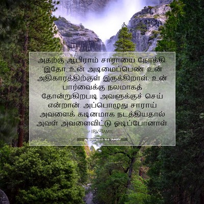 Picture 07 - ஆதியாகமம் 16:6 TAMIRV - அதற்கு ஆபிராம் - Bible Verse Picture