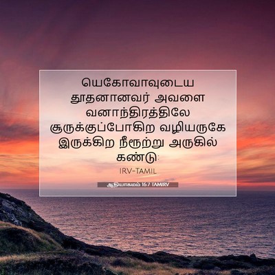 Picture 07 - ஆதியாகமம் 16:7 TAMIRV - யெகோவாவுடைய - Bible Verse Picture