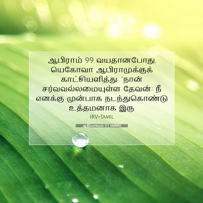 Picture 07 - ஆதியாகமம் 17:1 TAMIRV - ஆபிராம் 99 - Bible Verse Picture