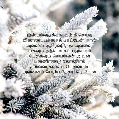 Picture 07 - ஆதியாகமம் 17:20 TAMIRV -  - Bible Verse Picture