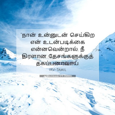 Picture 07 - ஆதியாகமம் 17:4 TAMIRV - “நான் உன்னுடன் - Bible Verse Picture