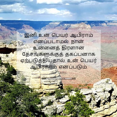 Picture 07 - ஆதியாகமம் 17:5 TAMIRV - இனி உன் பெயர் - Bible Verse Picture