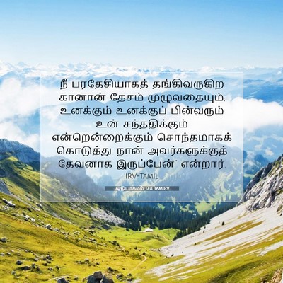 Picture 07 - ஆதியாகமம் 17:8 TAMIRV - நீ பரதேசியாகத் - Bible Verse Picture