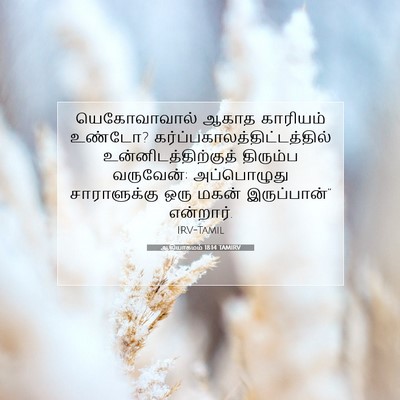 Picture 07 - ஆதியாகமம் 18:14 TAMIRV - யெகோவாவால் ஆகாத - Bible Verse Picture