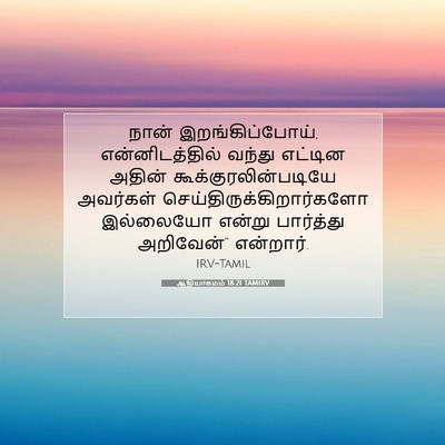 Picture 07 - ஆதியாகமம் 18:21 TAMIRV - நான் - Bible Verse Picture