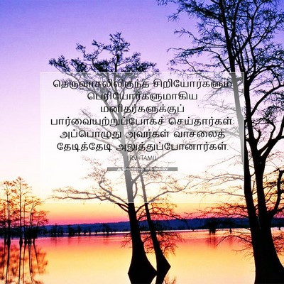 Picture 07 - ஆதியாகமம் 19:11 TAMIRV - தெருவாசலிலிருந்த - Bible Verse Picture