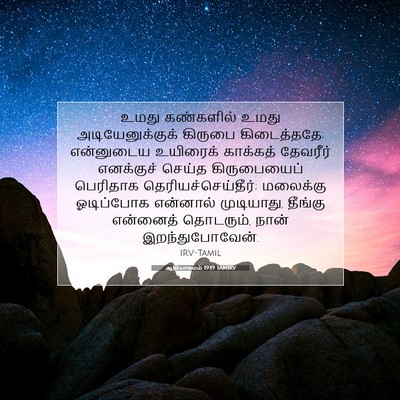 Picture 07 - ஆதியாகமம் 19:19 TAMIRV - உமது கண்களில் - Bible Verse Picture