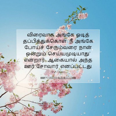 Picture 07 - ஆதியாகமம் 19:22 TAMIRV - விரைவாக அங்கே - Bible Verse Picture