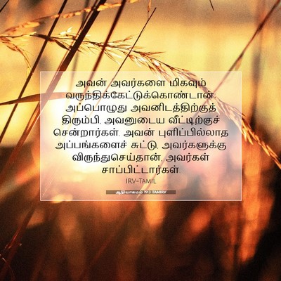 Picture 07 - ஆதியாகமம் 19:3 TAMIRV - அவன் அவர்களை - Bible Verse Picture