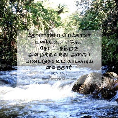 Picture 07 - ஆதியாகமம் 2:15 TAMIRV - தேவனாகிய யெகோவா - Bible Verse Picture
