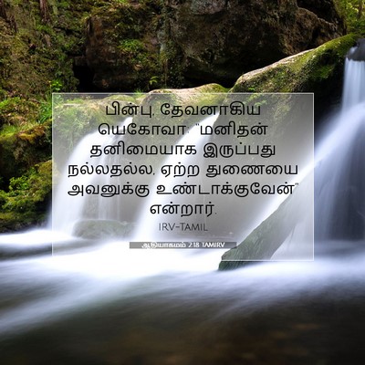 Picture 07 - ஆதியாகமம் 2:18 TAMIRV - பின்பு, தேவனாகிய - Bible Verse Picture