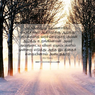 Picture 07 - ஆதியாகமம் 2:21 TAMIRV - அப்பொழுது - Bible Verse Picture