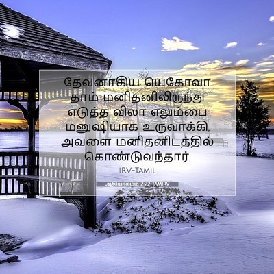 Picture 07 - ஆதியாகமம் 2:22 TAMIRV - தேவனாகிய யெகோவா - Bible Verse Picture