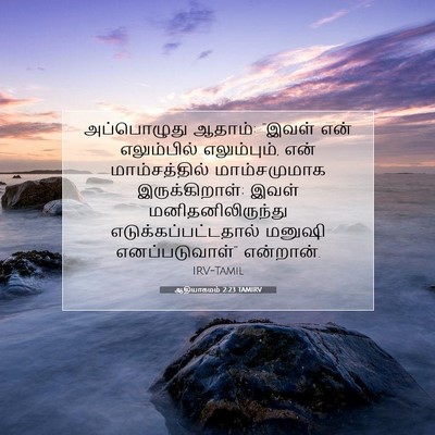 Picture 07 - ஆதியாகமம் 2:23 TAMIRV - அப்பொழுது ஆதாம்: - Bible Verse Picture