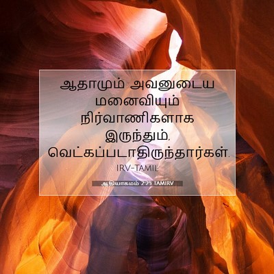 Picture 07 - ஆதியாகமம் 2:25 TAMIRV - ஆதாமும் அவனுடைய - Bible Verse Picture