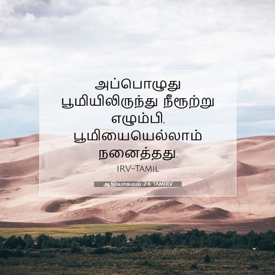 Picture 07 - ஆதியாகமம் 2:6 TAMIRV - அப்பொழுது - Bible Verse Picture