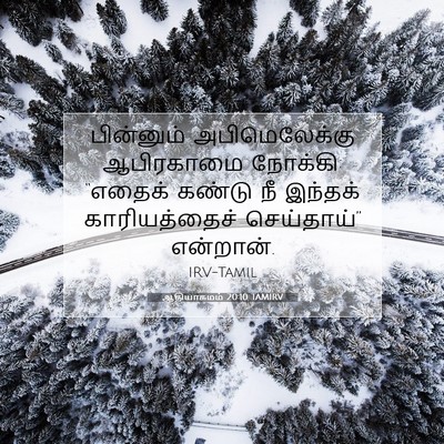 Picture 07 - ஆதியாகமம் 20:10 TAMIRV - பின்னும் - Bible Verse Picture