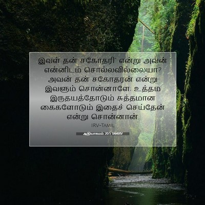 Picture 07 - ஆதியாகமம் 20:5 TAMIRV - இவள் தன் சகோதரி” - Bible Verse Picture