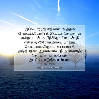 Picture 07 - ஆதியாகமம் 20:6 TAMIRV - அப்பொழுது தேவன்: - Bible Verse Picture