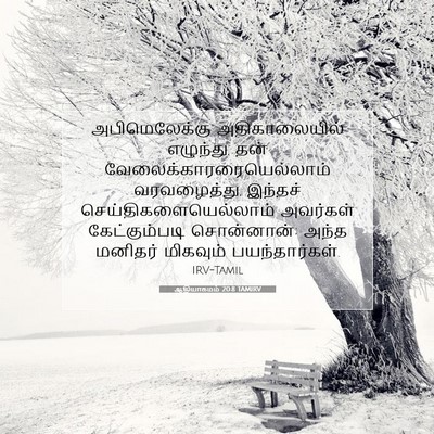 Picture 07 - ஆதியாகமம் 20:8 TAMIRV - அபிமெலேக்கு - Bible Verse Picture