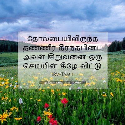 Picture 07 - ஆதியாகமம் 21:15 TAMIRV - தோல்பையிலிருந்த - Bible Verse Picture