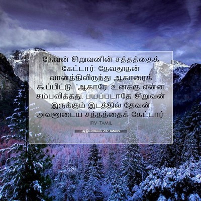 Picture 07 - ஆதியாகமம் 21:17 TAMIRV - தேவன் சிறுவனின் - Bible Verse Picture