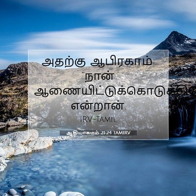 Picture 07 - ஆதியாகமம் 21:24 TAMIRV - அதற்கு ஆபிரகாம்: - Bible Verse Picture