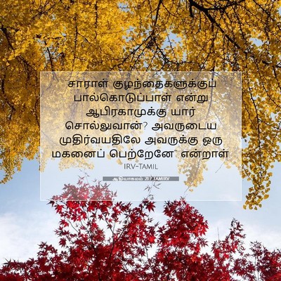 Picture 07 - ஆதியாகமம் 21:7 TAMIRV - “சாராள் - Bible Verse Picture