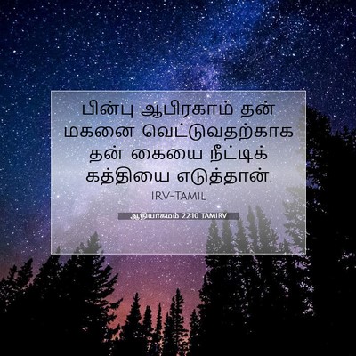 Picture 07 - ஆதியாகமம் 22:10 TAMIRV - பின்பு ஆபிரகாம் - Bible Verse Picture