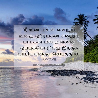 Picture 07 - ஆதியாகமம் 22:16 TAMIRV - “நீ உன் மகன் - Bible Verse Picture