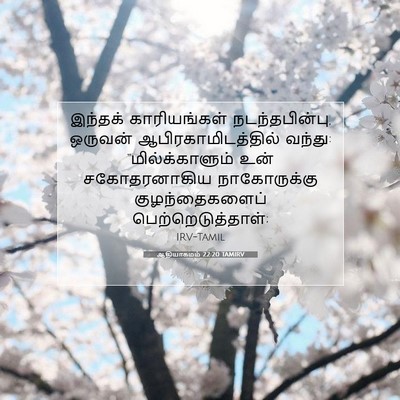 Picture 07 - ஆதியாகமம் 22:20 TAMIRV - இந்தக் காரியங்கள் - Bible Verse Picture