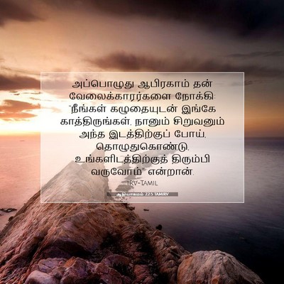 Picture 07 - ஆதியாகமம் 22:5 TAMIRV - அப்பொழுது - Bible Verse Picture